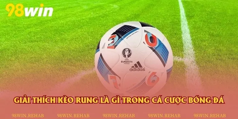 Hiểu rõ chính xác về kèo rung để đặt cược hiệu quả