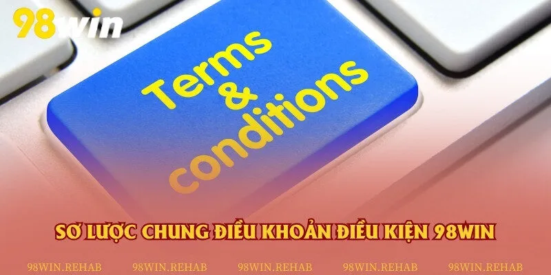 Tổng quan về một vài điều khoản sử dụng tại nhà cái