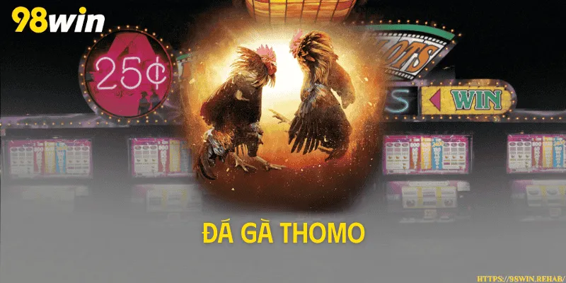 Đá gà Thomo